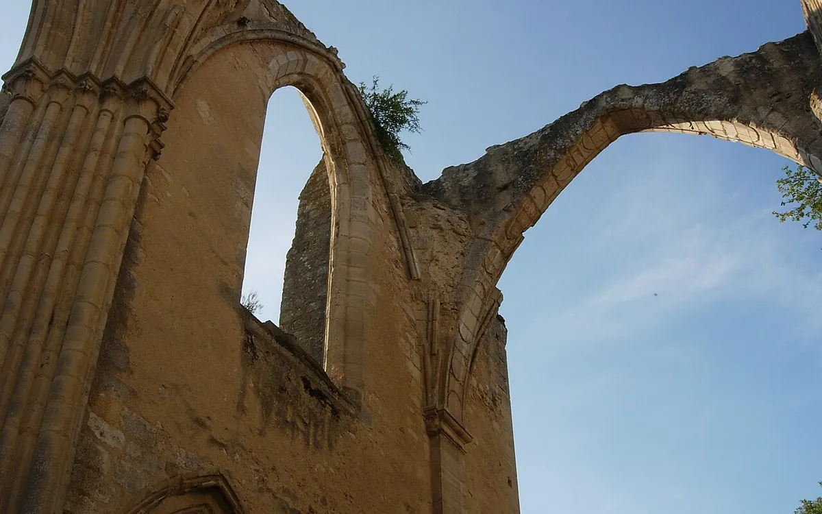 Dammarie-les-Lys, Seine-et-Marne