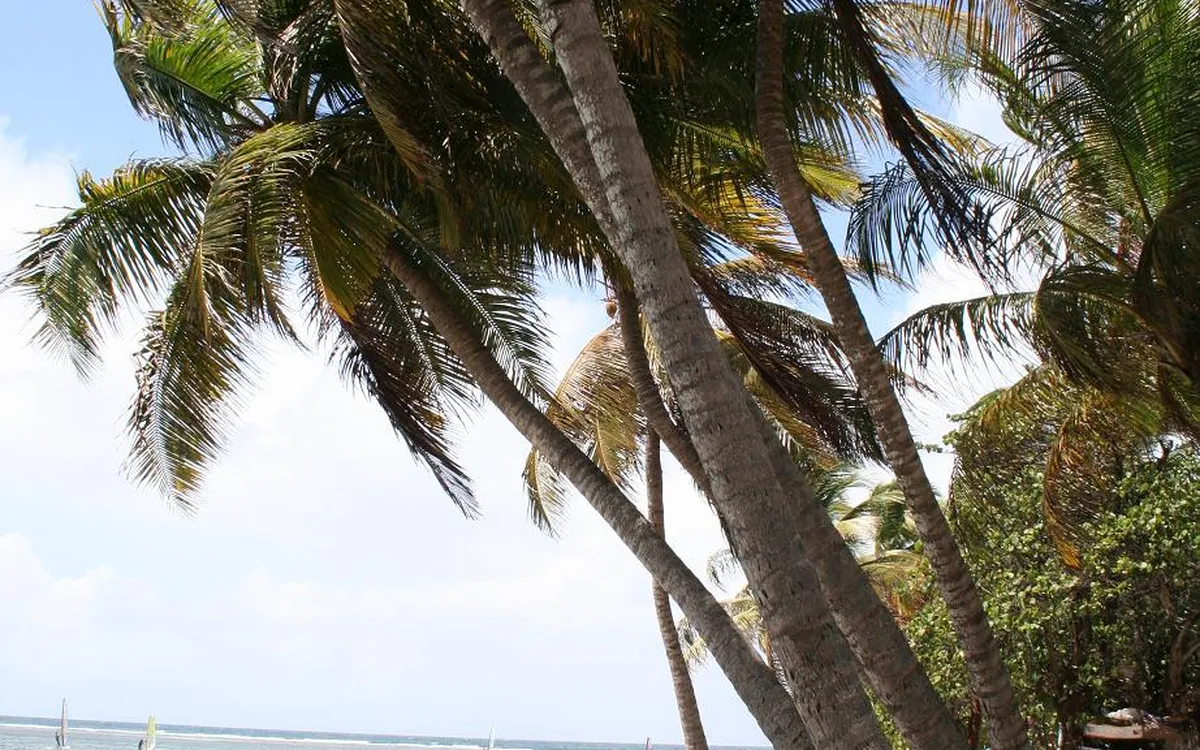 Sainte-Anne, Guadeloupe