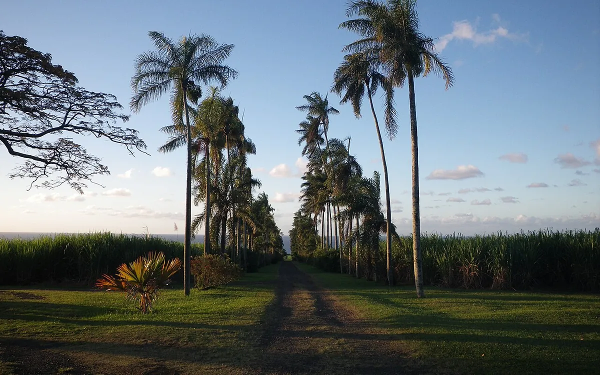 Sainte-Suzanne, La Réunion